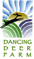 ddlogo